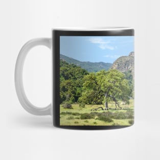 Malibu Creek State Park Mug